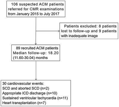 Left Ventricular Longitudinal Dyssynchrony by CMR Feature Tracking Is Related to Adverse Prognosis in Advanced Arrhythmogenic Cardiomyopathy